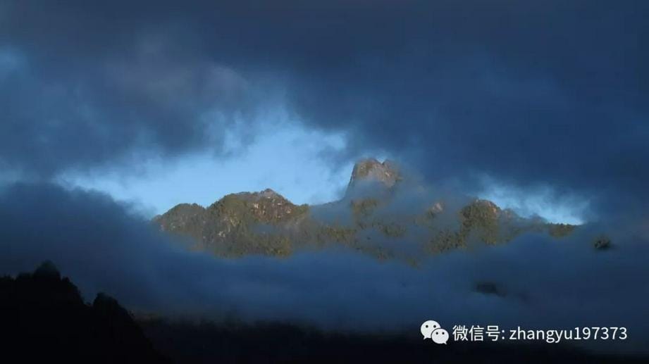 超越KPI：为了守护深山的“老羊”，这间教会宁愿“变小”