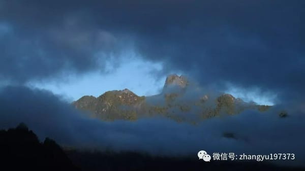 超越KPI：为了守护深山的“老羊”，这间教会宁愿“变小”